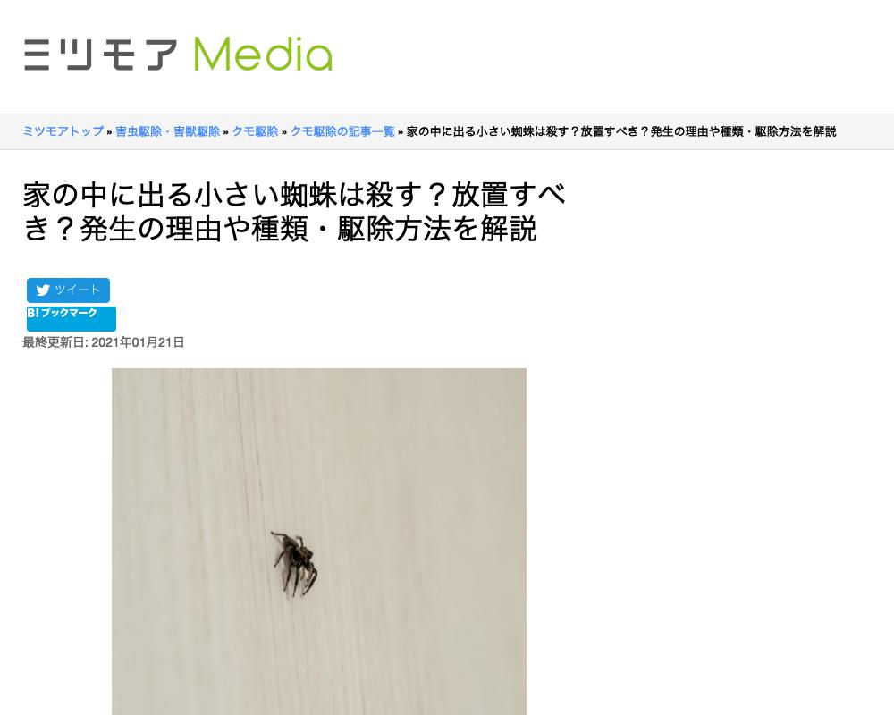 悩み Q 家に蜘蛛が頻繁に出る を解決する便利なページ 便利ページ